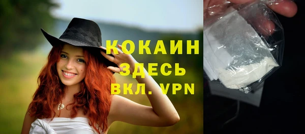 эйфоретик Арсеньев