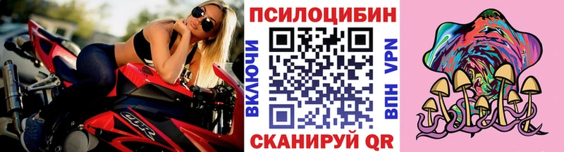 Псилоцибиновые грибы Magic Shrooms Темрюк